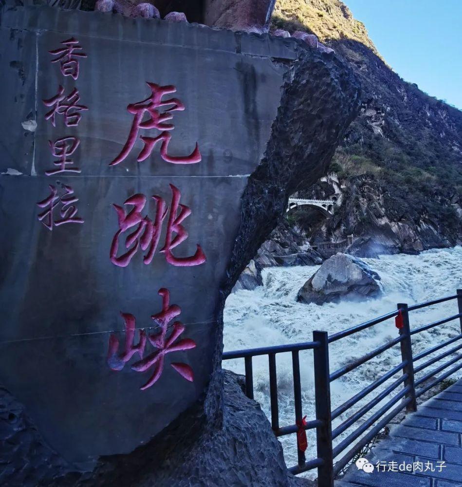 歌词是一捧土一一棵芽它的歌名是什么歌？